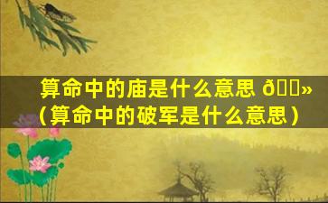 算命中的庙是什么意思 🌻 （算命中的破军是什么意思）